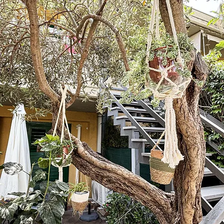 Sicilian Frühstückspension 3*